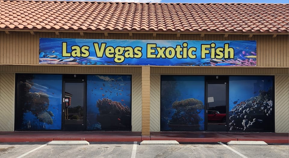 Las Vegas Exotic Fish storefront